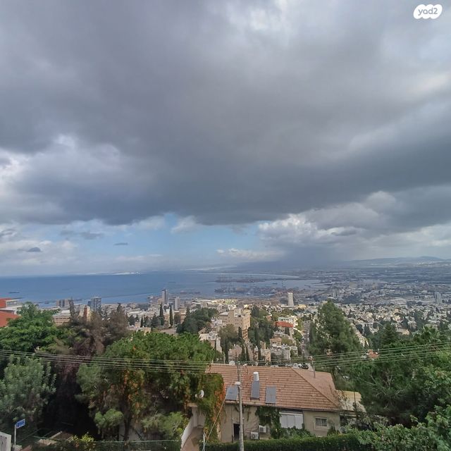 הנרייטה סולד 