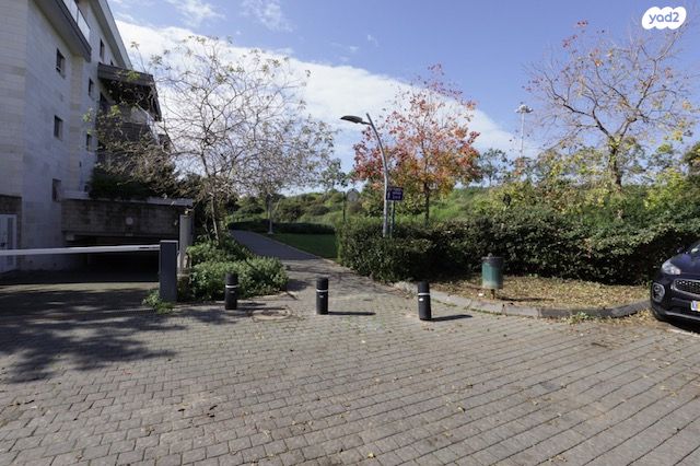 דירה, כפר סבא