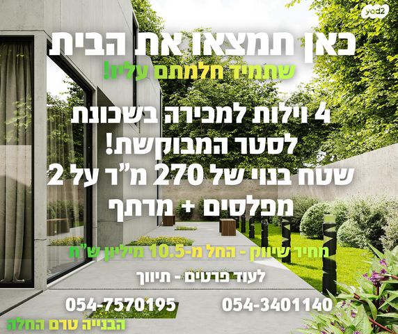 לסטר/רבוצקי