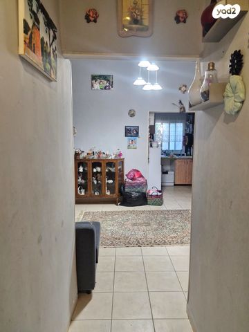 דירת גן, ברזילי, יל"ג, חיפה