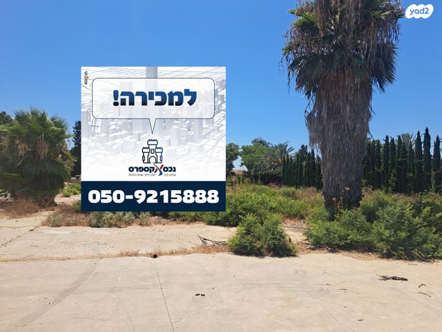חמד