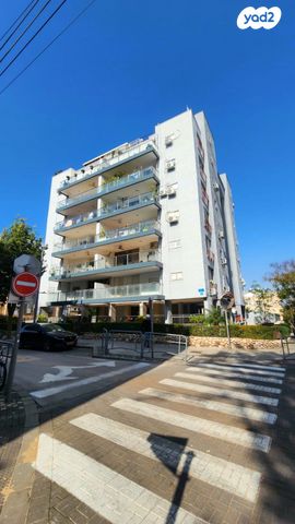 צבי הירשפלד 