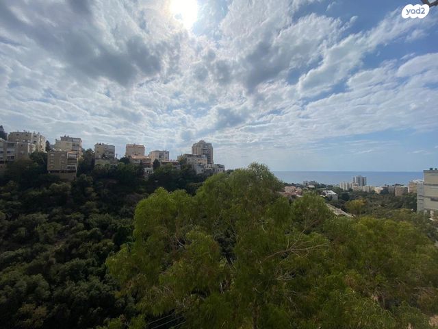 דירה, דוד בר רב האי, קרית שפרינצק, חיפה