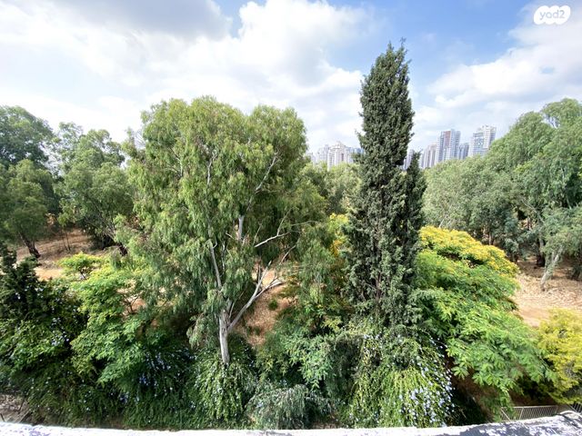 דירה, ארלוזורוב, פועלים א, כפר סבא