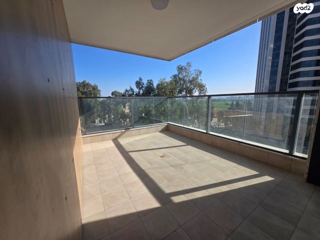 ראול ולנברג 33