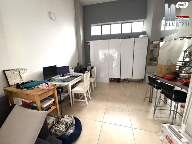 דירה, כיכר דיזנגוף, הצפון הישן - דרום, תל אביב יפו