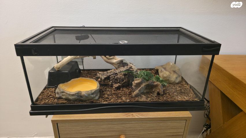 תמונת מודעה - חיות מחמד