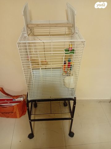 תמונת מודעה - חיות מחמד