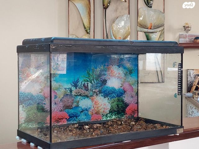 תמונת מודעה - חיות מחמד