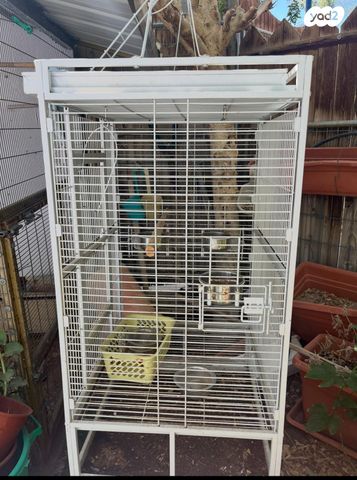 תמונת מודעה - חיות מחמד