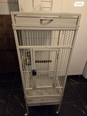 תמונת מודעה - חיות מחמד