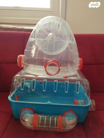 תמונת מודעה - חיות מחמד