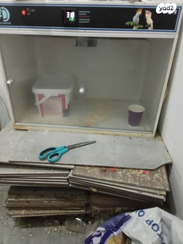 תמונת מודעה - חיות מחמד