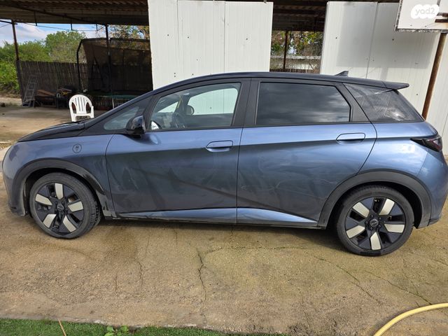 בי.ווי.די דולפין