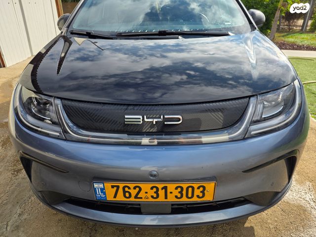 בי.ווי.די דולפין