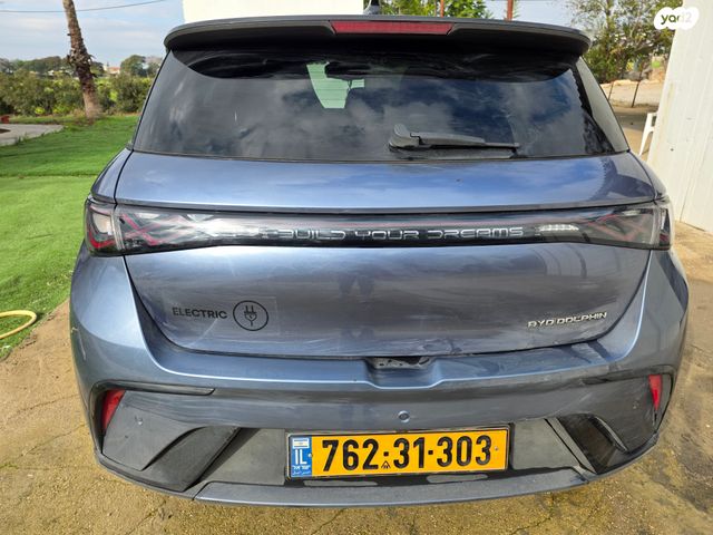 בי.ווי.די דולפין