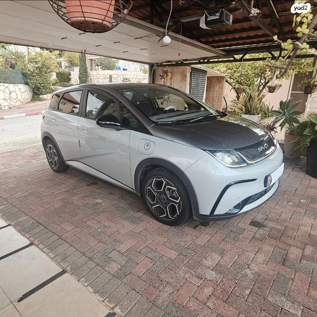 מודעת רכב בי.ווי.די דולפין