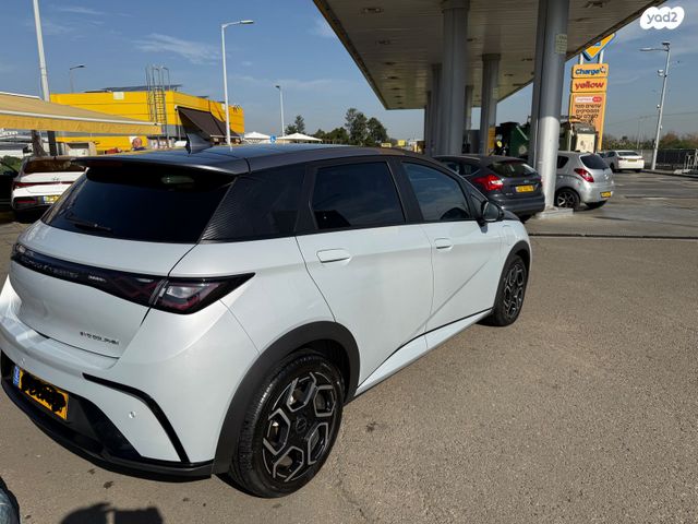 בי.ווי.די דולפין