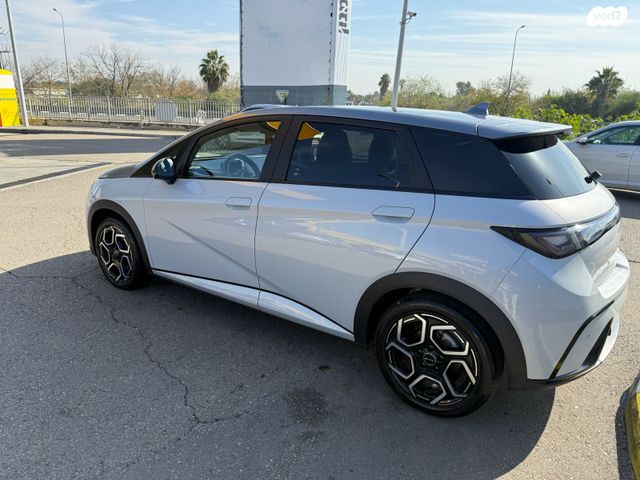 בי.ווי.די דולפין