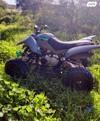 מודעת רכב ACCESS