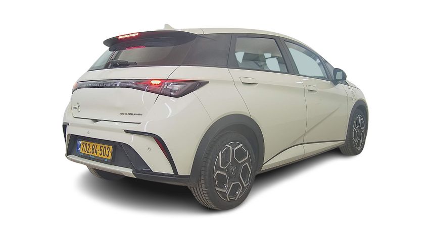 בי.ווי.די דולפין