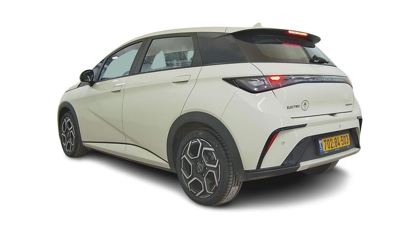 בי.ווי.די דולפין