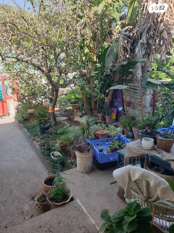 דירת גן, סביון 21, בן גוריון, נצרת עילית / נוף הגליל