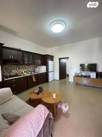 דירה, צהיון 10, ואדי נסנאס, חיפה