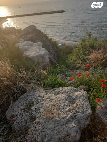 שדרות ירושלים 56