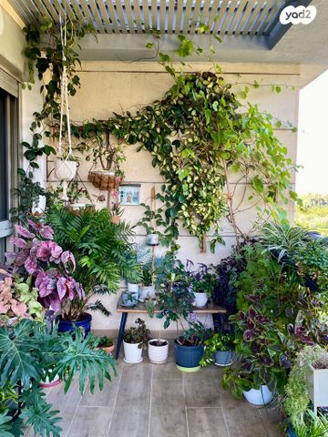 דירה, הקציר 7, וואלי, העמק, נס ציונה