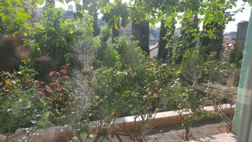 בית פרטי/ קוטג', ברקת 97, שערי תקווה, שערי תקווה