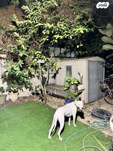 הרב יצחק ידידיה פרנקל 77