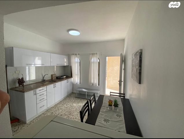 אירוס הנגב 105