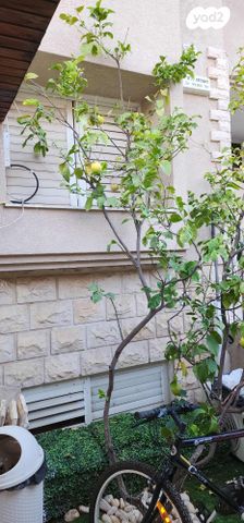 יחידת דיור, הסנפיר 31, נווה ים, ראשון לציון