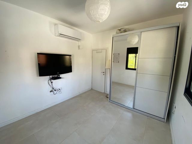 בכור שטרית 3