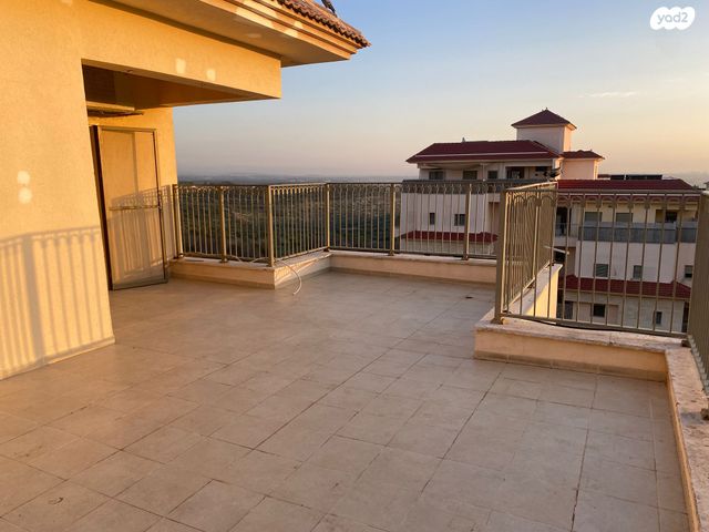 דירה, דרור 11, חלומות זכרון, זכרון יעקב