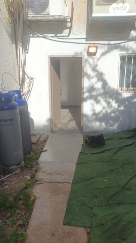 המלך שלמה 53