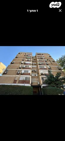 דוד וולפסון 36