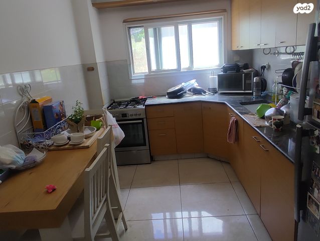 יהודה גורודיסקי 1