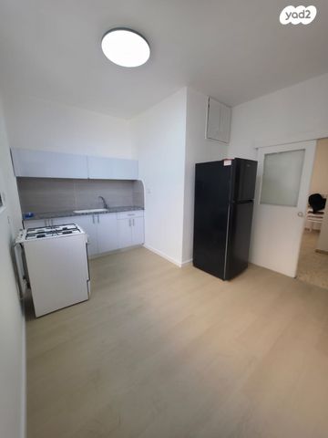 אריה שנקר 60