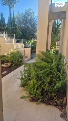 פייט מונדריאן 12