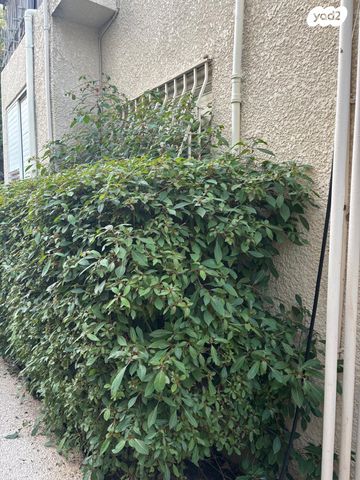 דירה, שדרות מוצקין, הצפון הישן - צפון, תל אביב יפו