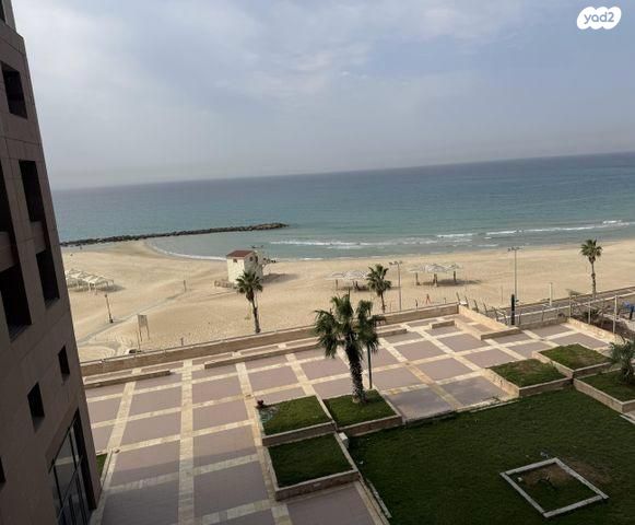 דירה, דוד אלעזר, חוף הכרמל, חיפה