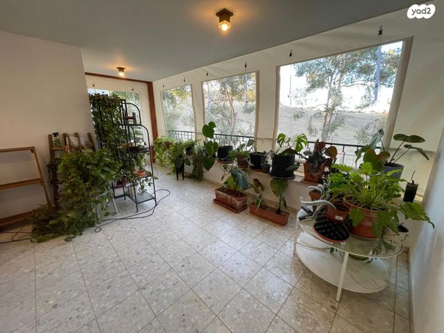 בית פרטי/ קוטג', ערד