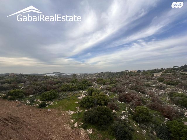 דירה, הרב ישראל גרוסמן, רמת אברהם, בית שמש