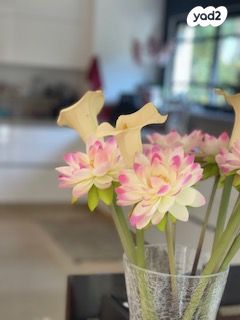 בית פרטי/ קוטג', קיסריה