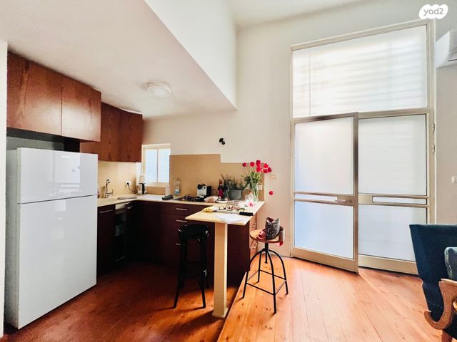 דירת גן, מנדלסון, הצפון הישן - דרום, תל אביב יפו