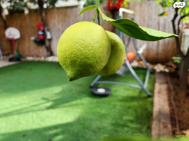 דירת גן, כיבוש העבודה 6, הרצליה הירוקה, נווה עובד, הרצליה