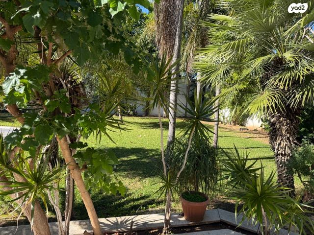 בית פרטי/ קוטג', כפר שמריהו, כפר שמריהו