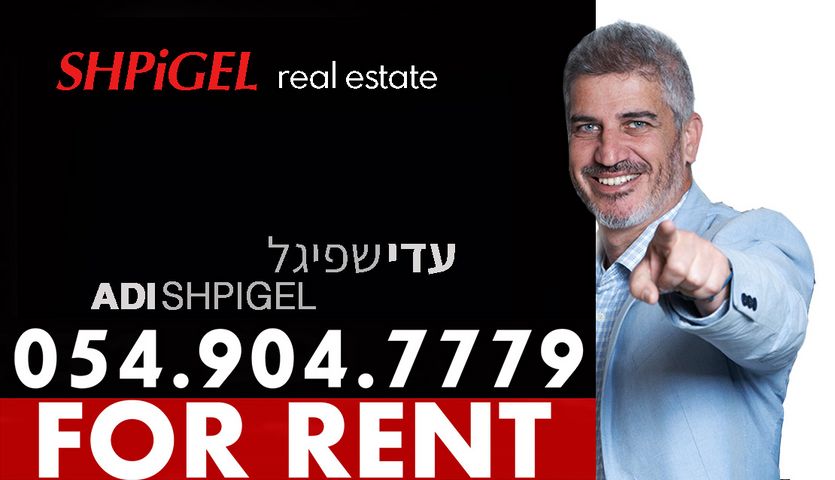 גג/ פנטהאוז, נווה דוד רמז, רעננה